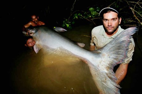 pezgatogigante