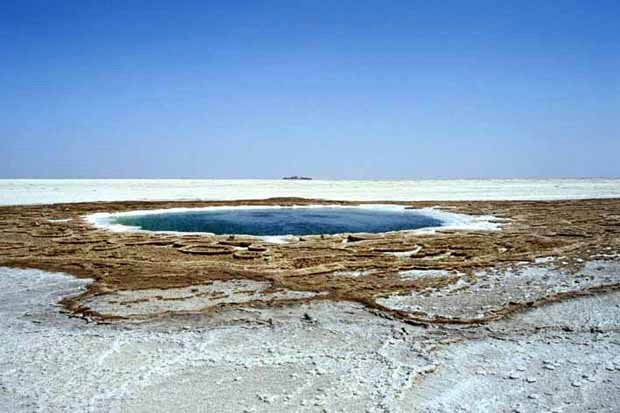 spring_in_salt_plain