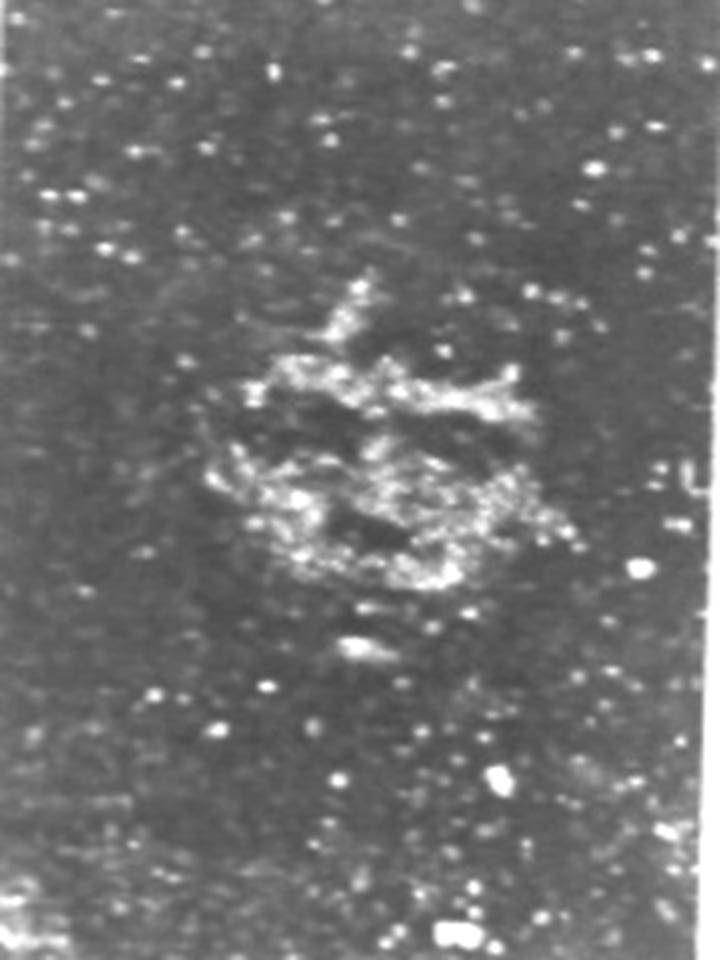 Arturo Laurona