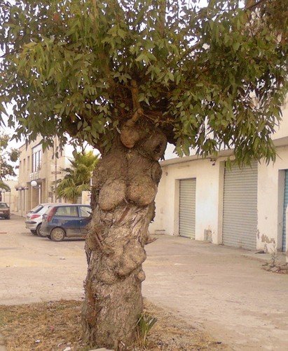 16993559