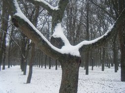 dscf0192