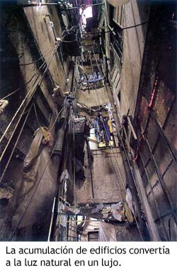 kowloon_luz