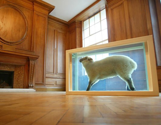 rt_sheep_hirst_070601_ssh