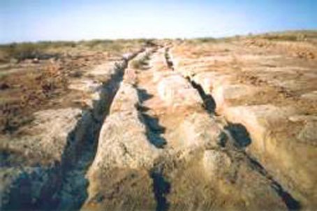 surcos1
