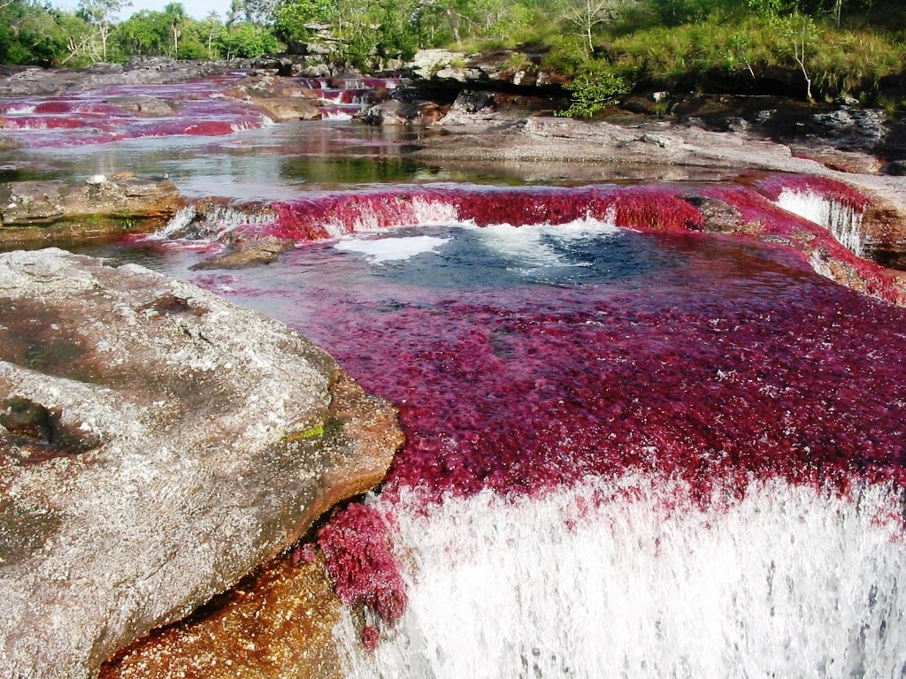 caño cristales