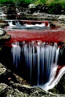 cano_cristales11