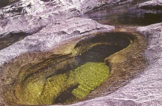 canocristales