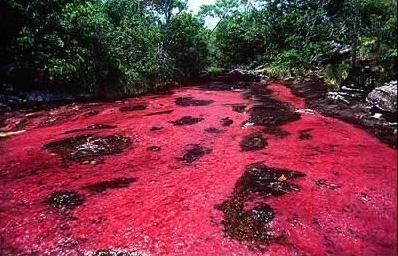 cristales