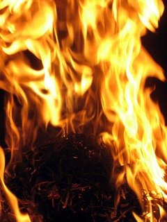 fuego