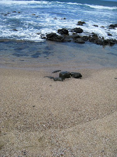 glass_beach_kauai