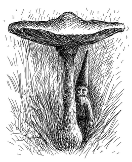 gnomo