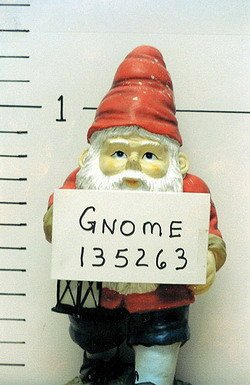 gnomo3