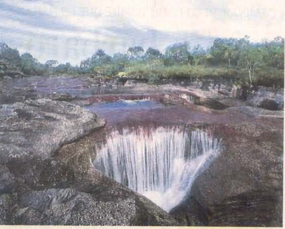 hurtado
