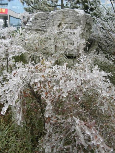 010_ice_rain