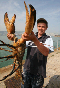 bogavante-gigante