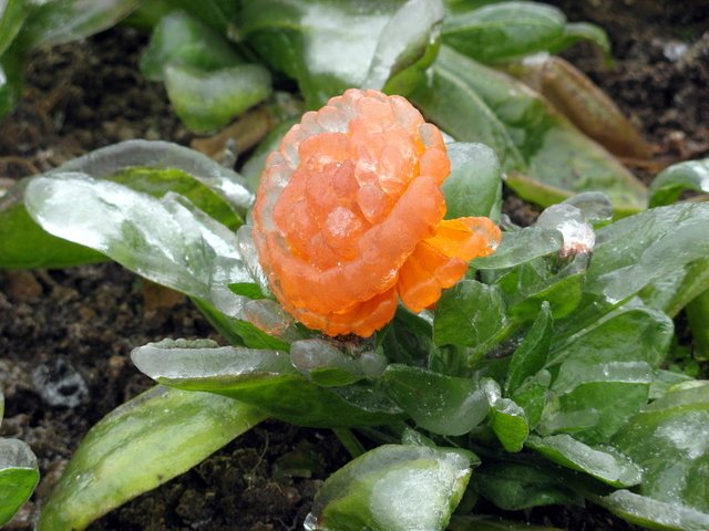 Lluvia_de_hielo_en_China-08