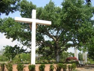 Armero2