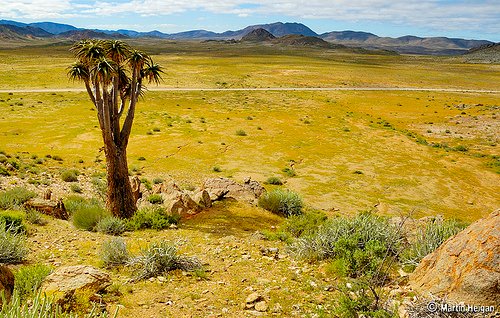 desierto_richtersveld