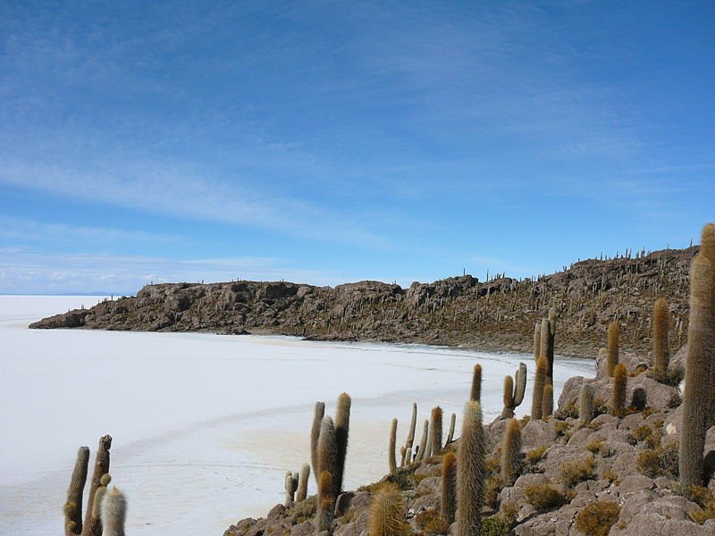 Isla_del_Pescado_in_Uyuni