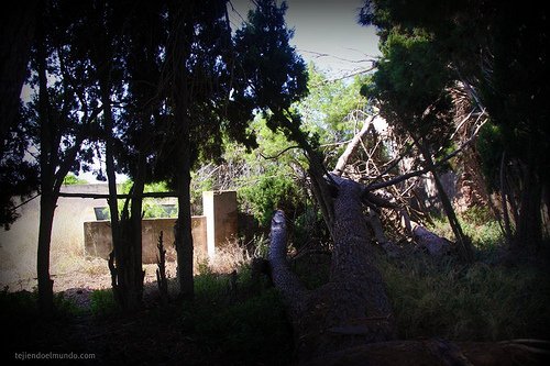 abandonos_castellon