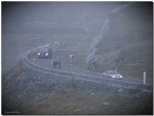 carretera_pirineos