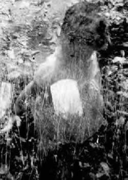 fantasma3