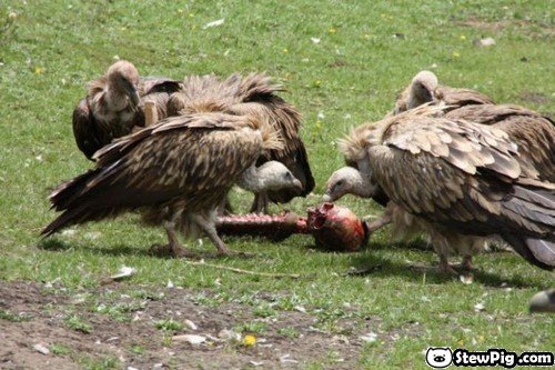 funeral_tibet