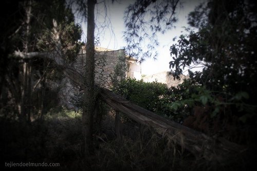 jardin_abandonado