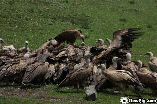 tibetburial20