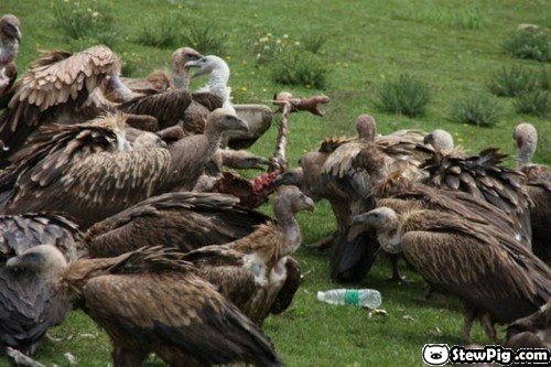tibetburial27