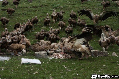 tibetburial55