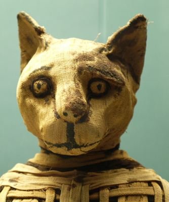 cat-mummy
