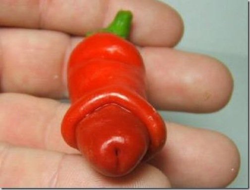 chili_pene
