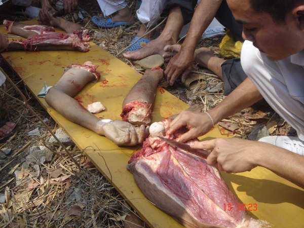 clase_anatomia_tailandia007