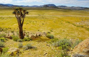 desierto_richtersveld
