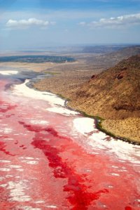 lago_natron