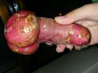 nabo_pene