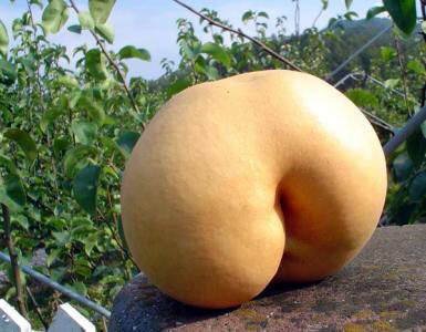 naturaleza-caprichoza-23