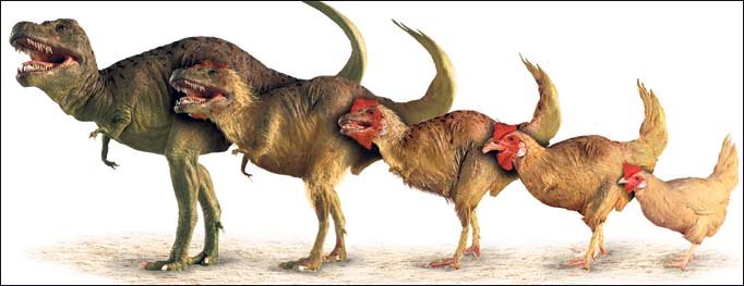 pollosaurio