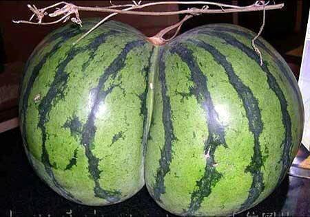 sandia_con_forma_de_culo