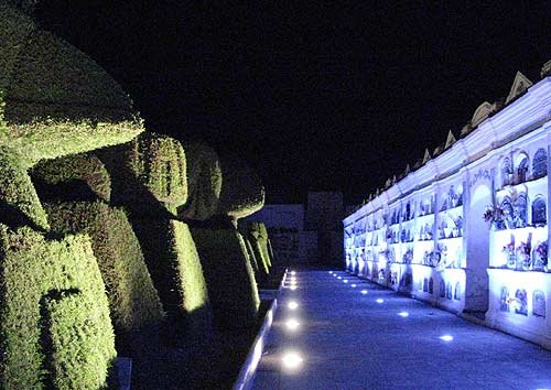 tulcan nocturno
