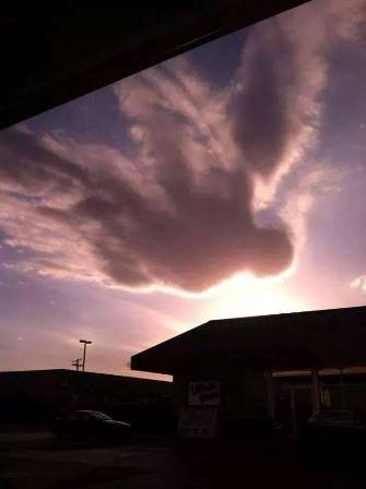 foto de un angel real