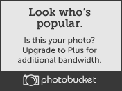 TrollstigenPanorama2smallx.jpg image by cityw