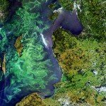 Abonarán el océano para absorver mas CO2