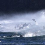 Fotografías espectaculares de National Geographic (1).