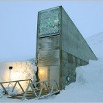 La Bóveda global de semillas de Svalbard. ¿Las semillas del futuro? 