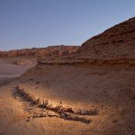 Planeta mágico. Wadi Al-Hitan, el valle de las ballenas. 
