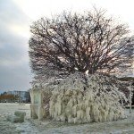 Tormentas de hielo. La vida en stand-by