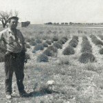 Expedientes X. El aterrizaje de Valensole.