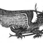 El Piasa, el dragón pájaro de Illinois